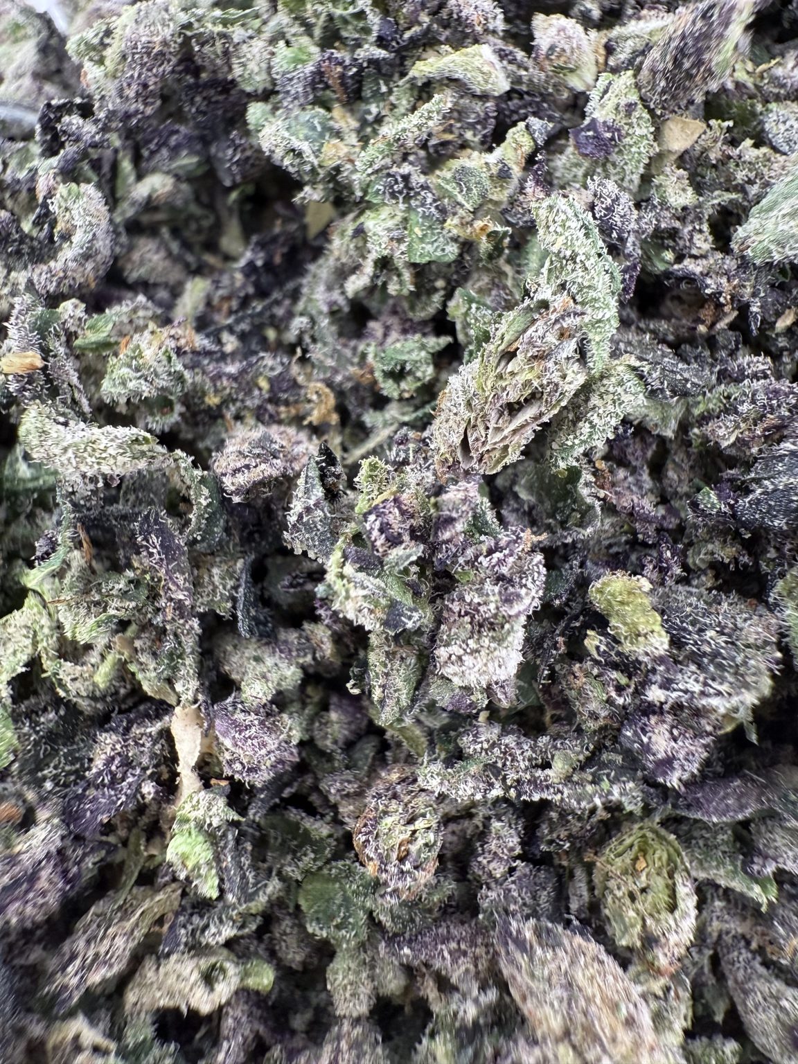 T05 Blackberry Shake/w Micro image