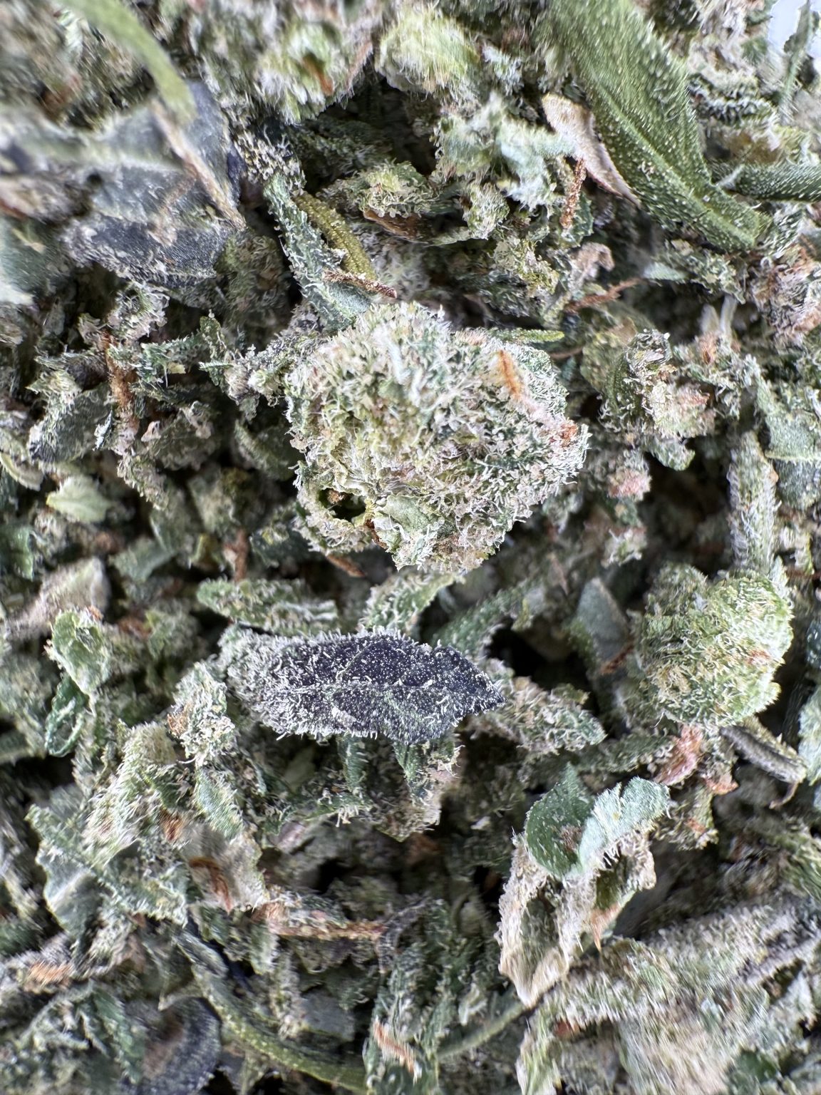 T02 Ice Cream Cake Shake/w Micro image