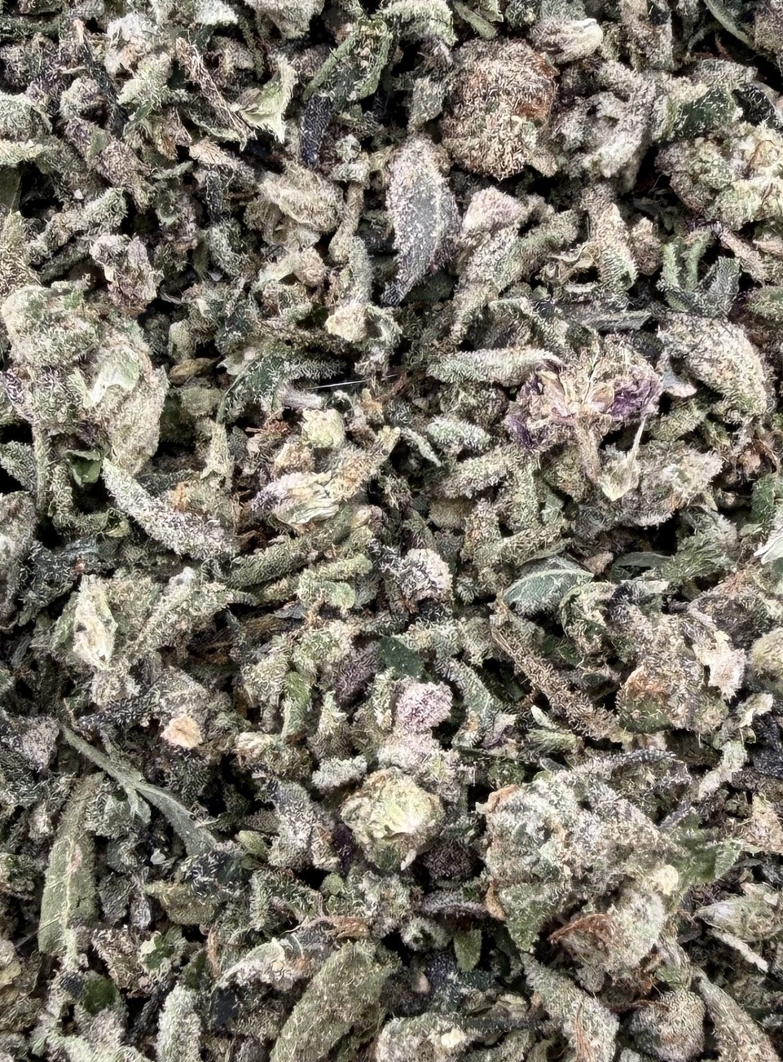 T04 BLOW YOUR MIND SHAKE/W MICROS