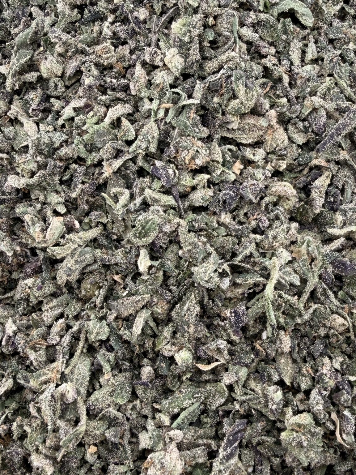 T03 Jack Herre Shake/w Micro