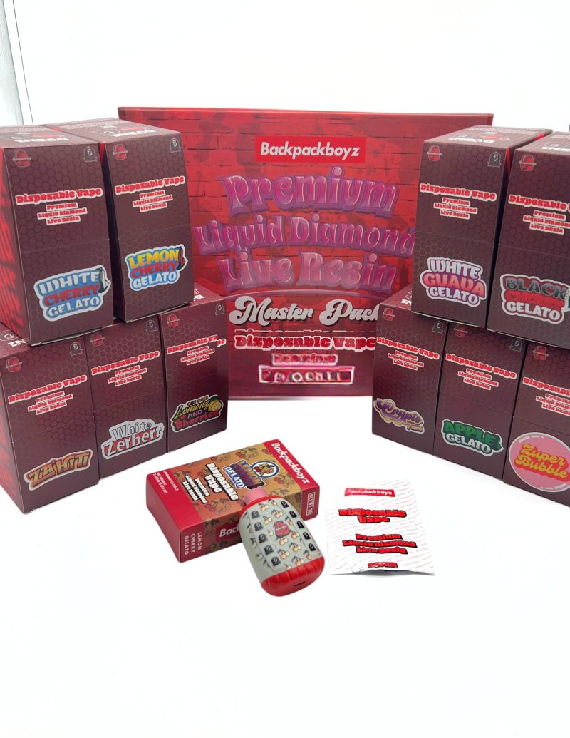 V09 BackPackBoyZ 2G Disposable Vape (50/ Case)