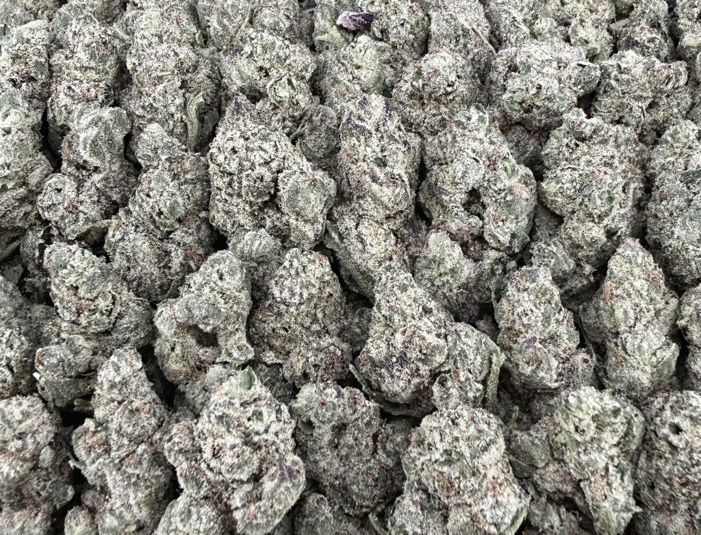 S06 Ice Cream Gelato Smalls