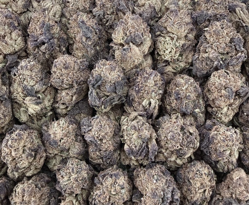 S16 Black Ice Cream Smalls