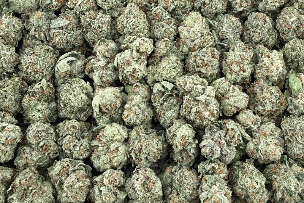 S27 Gelato 41 Smalls