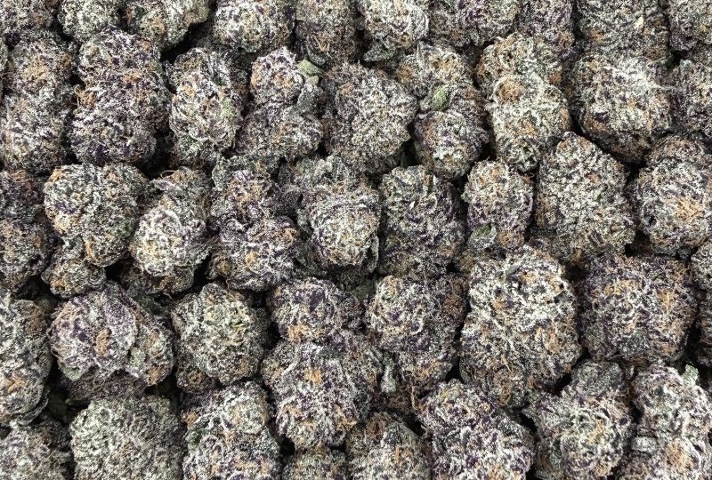 S40 Purple Cream Mid