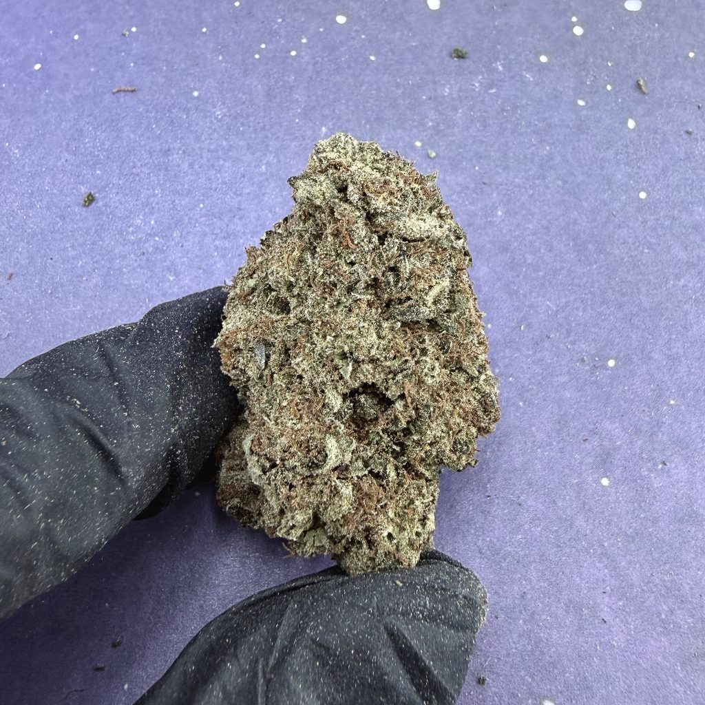 B76 ICE Cream Cookies