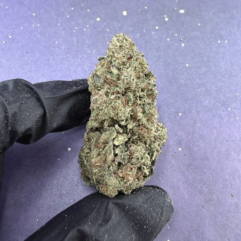 B05 Lemonn Cherry Bx1