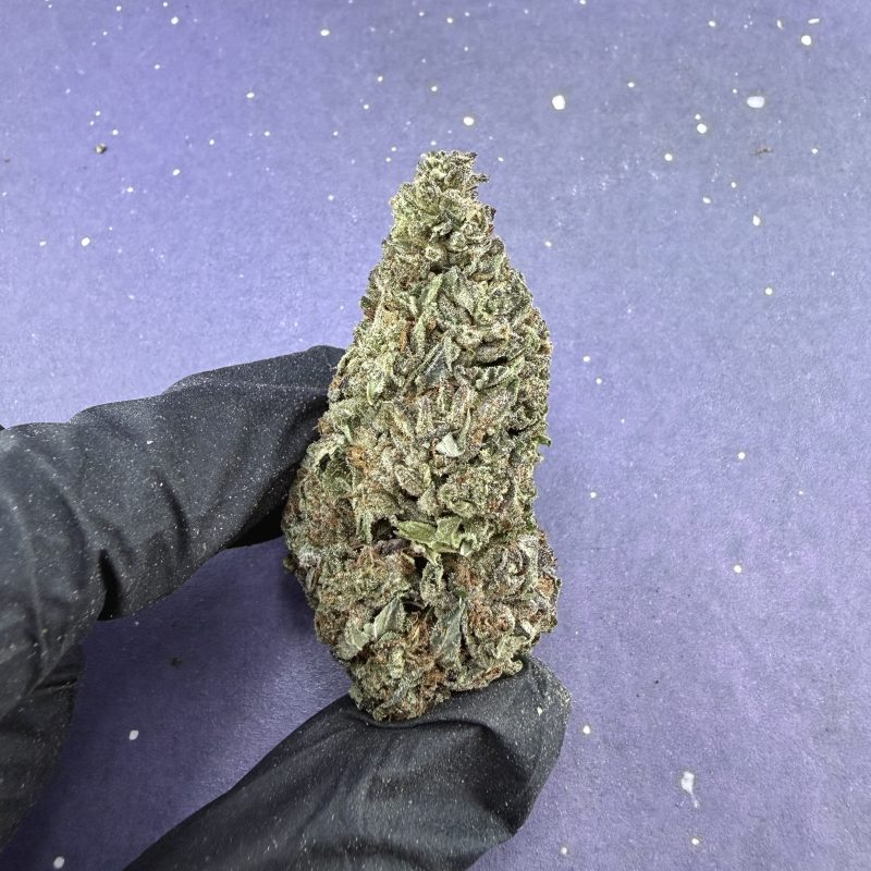 B12 Granddaddyy Purple