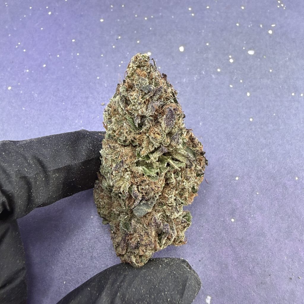 B14 Modified Grape
