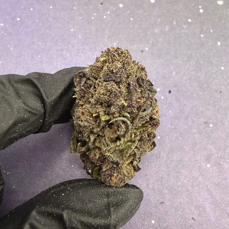 B33 Black Ice Cookies