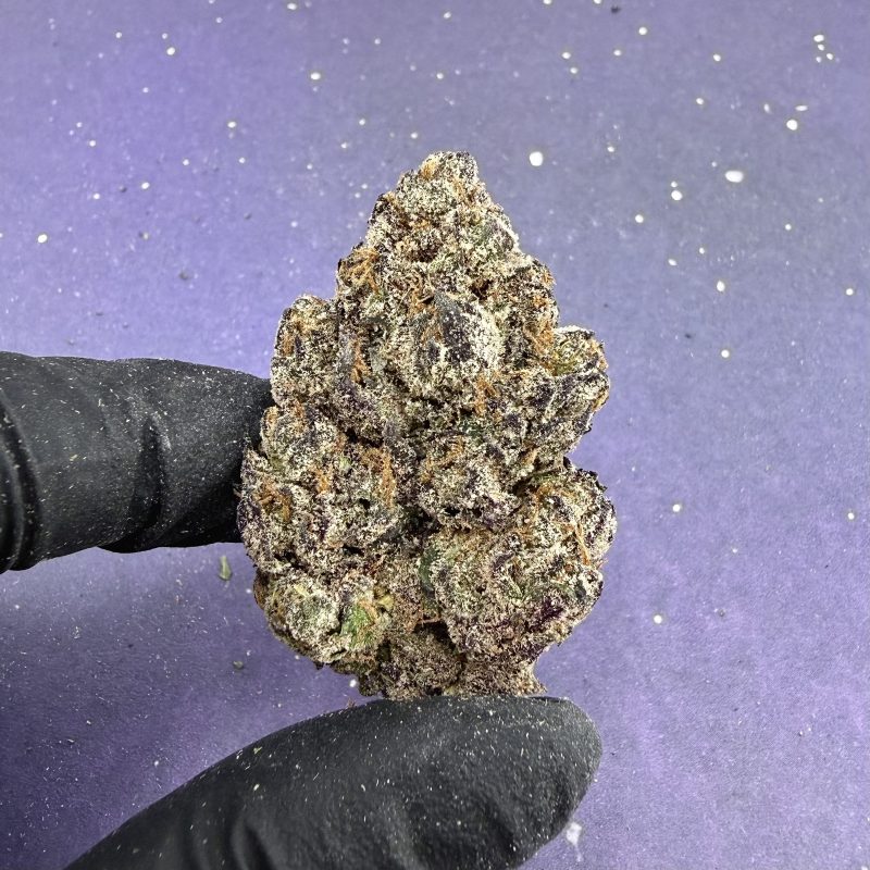 Exotic Candy LCG (B81)